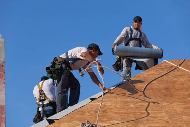 Best Roof Maintenance Services  in Sparrow Bush, NY